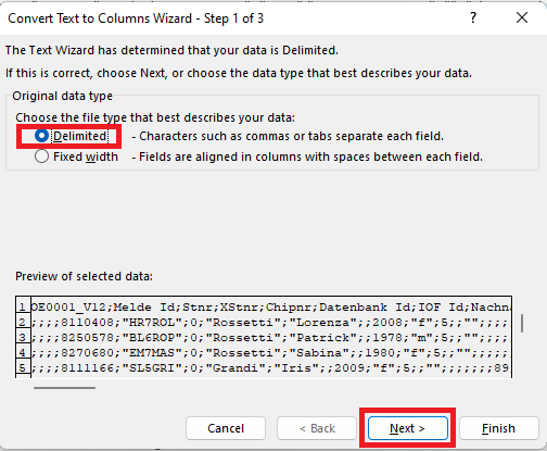 Excel delimited