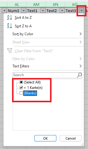 Excel filtra per Testo3